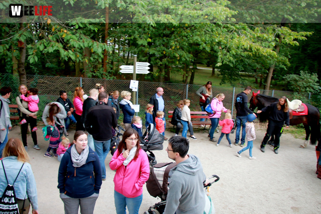 65 Jahre Hofer Zoo