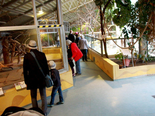65 Jahre Hofer Zoo – Foto 78