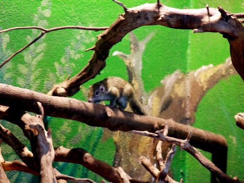 65 Jahre Hofer Zoo – Foto 87