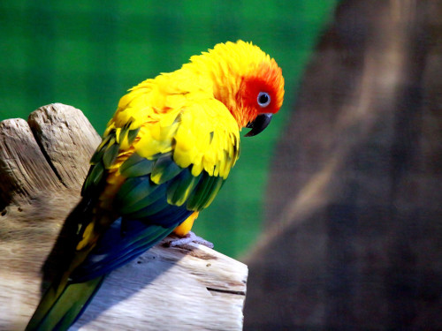 65 Jahre Hofer Zoo – Foto 88