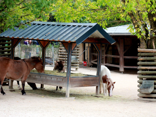 65 Jahre Hofer Zoo – Foto 99