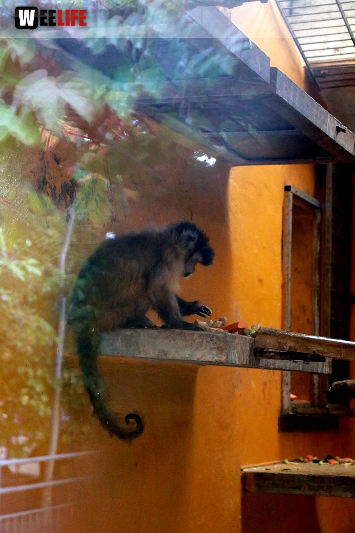 65 Jahre Hofer Zoo