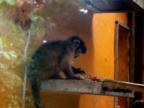 65 Jahre Hofer Zoo – Foto 100