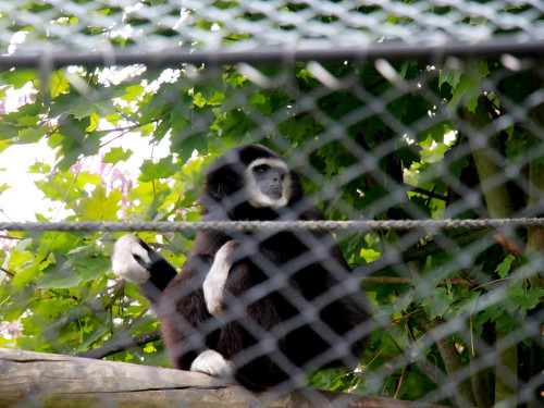 65 Jahre Hofer Zoo – Foto 106