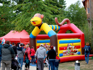 Foto 233960 im Album