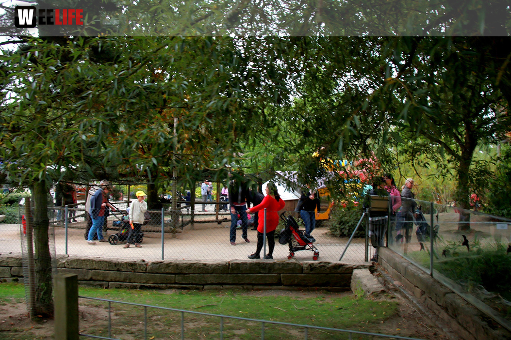 65 Jahre Hofer Zoo