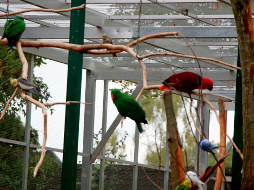 65 Jahre Hofer Zoo – Foto 116