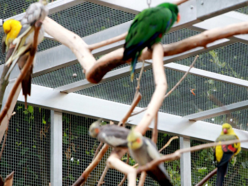 65 Jahre Hofer Zoo – Foto 118