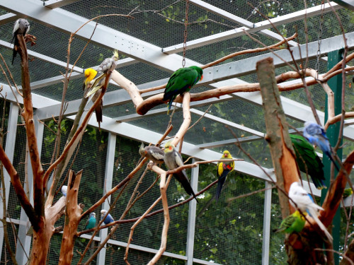 65 Jahre Hofer Zoo – Foto 119