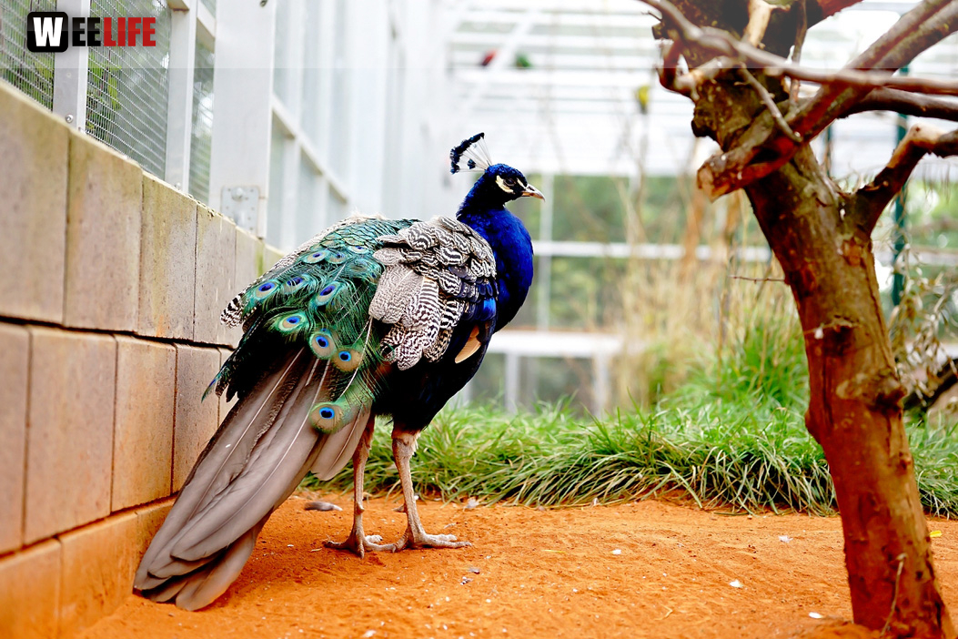 65 Jahre Hofer Zoo