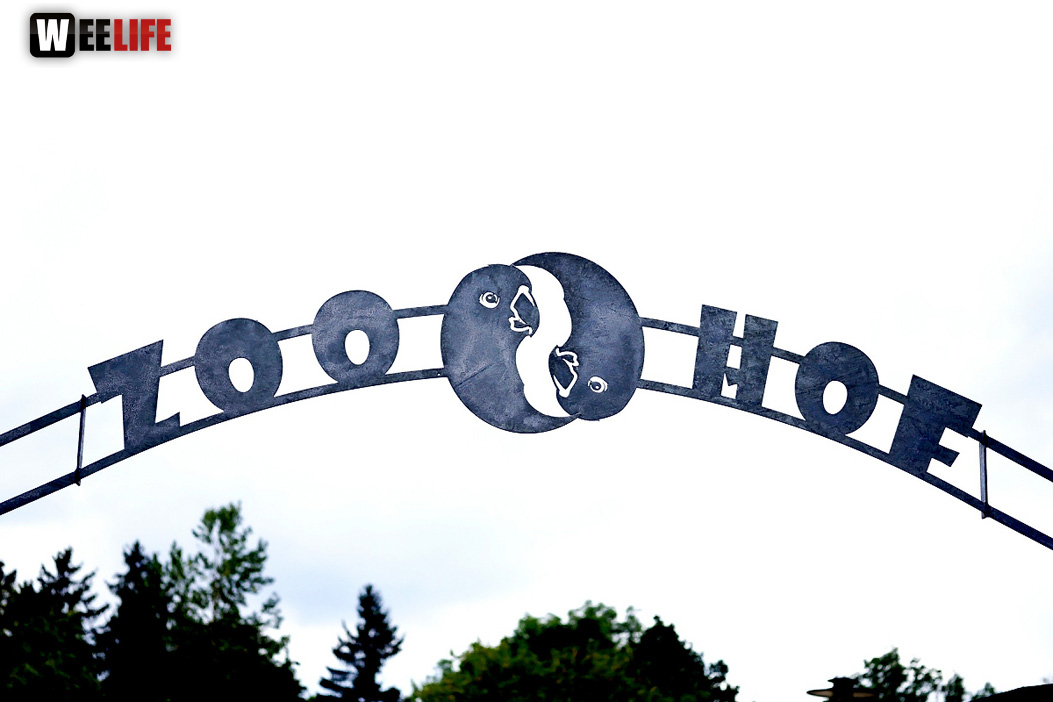 65 Jahre Hofer Zoo