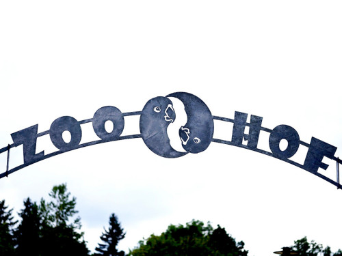 65 Jahre Hofer Zoo – Foto 45