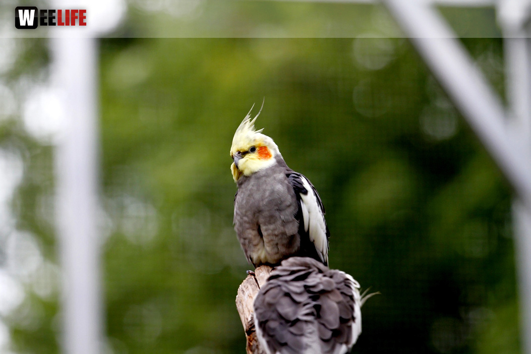 65 Jahre Hofer Zoo