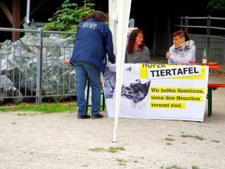 Vorschau des vorherigen Fotos