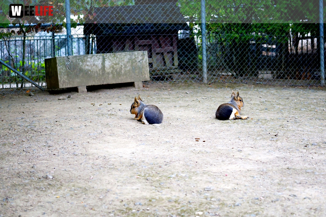 65 Jahre Hofer Zoo