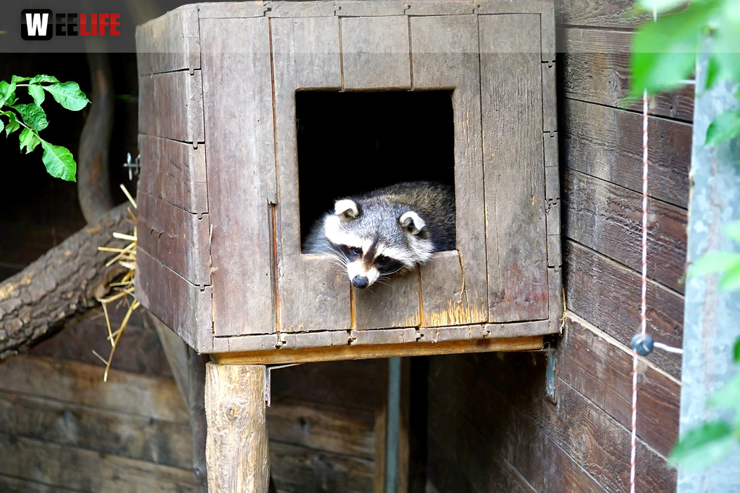 65 Jahre Hofer Zoo