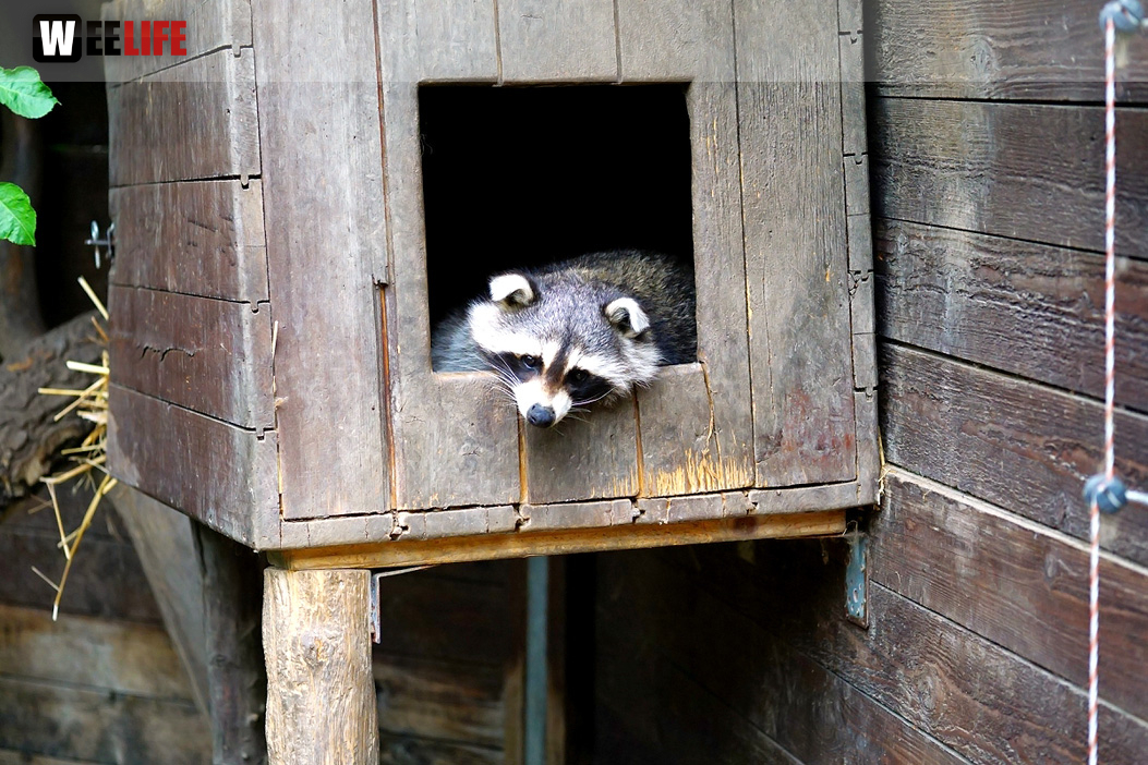 65 Jahre Hofer Zoo