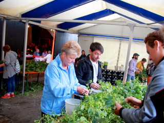 Foto 234201 im Album