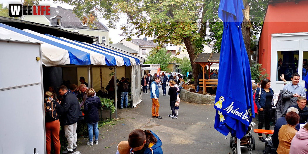 Hopfenzupferfest 2019