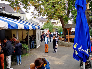 Foto 234224 im Album