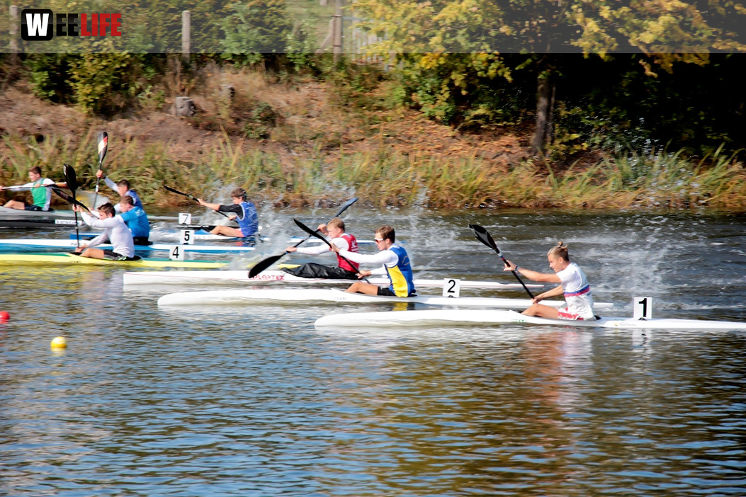 Hof Regatta 2019