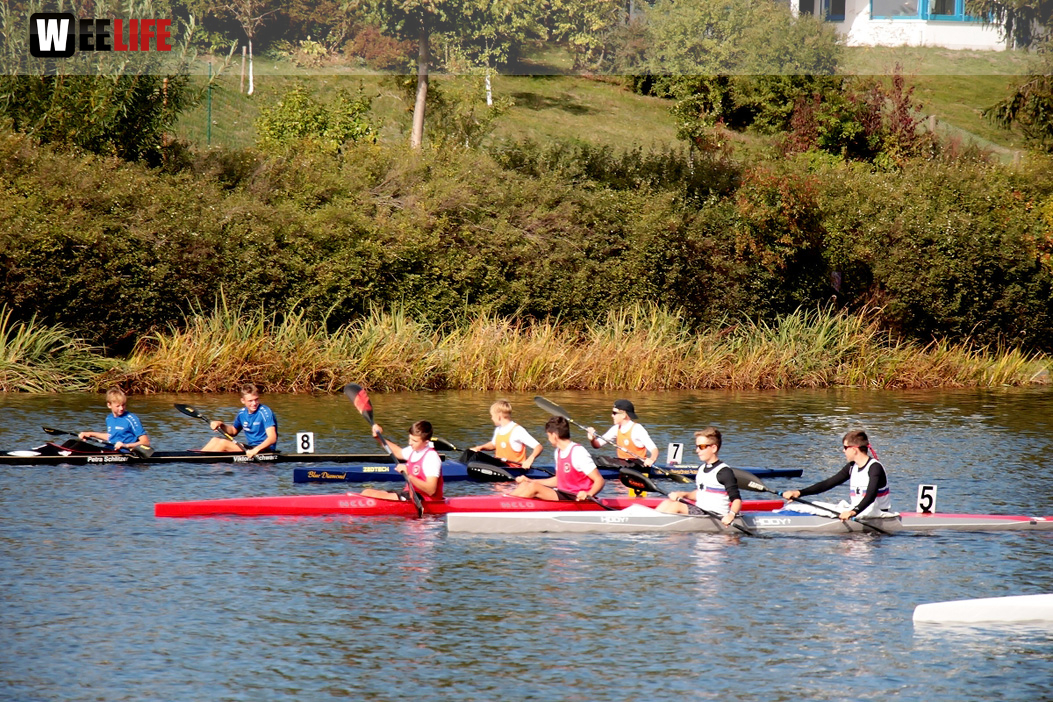Hof Regatta 2019
