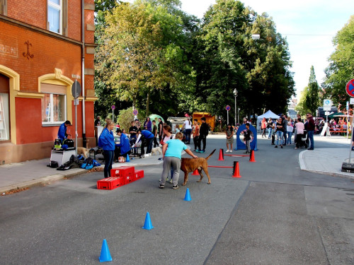 Weltkindertag 2019 – Foto 3