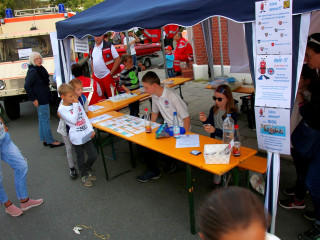 Foto 234869 im Album