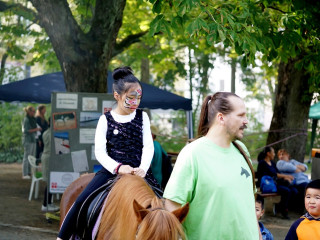 Foto 234990 im Album