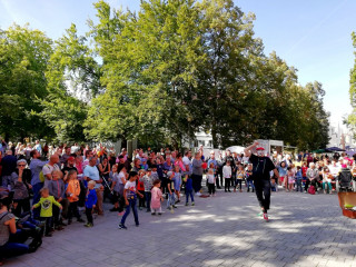 Foto 235026 im Album