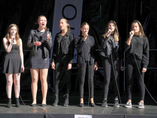 Foto 235065 im Album