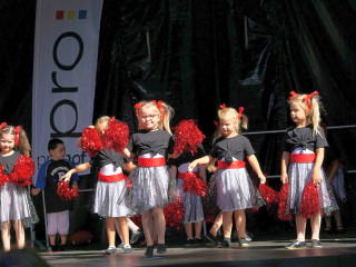 Foto 235104 im Album