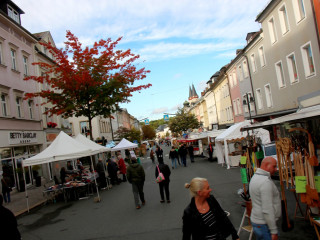 Foto 235192 im Album