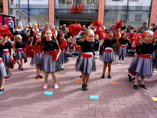 Foto 235545 im Album