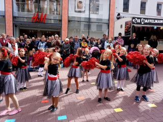 Foto 235546 im Album