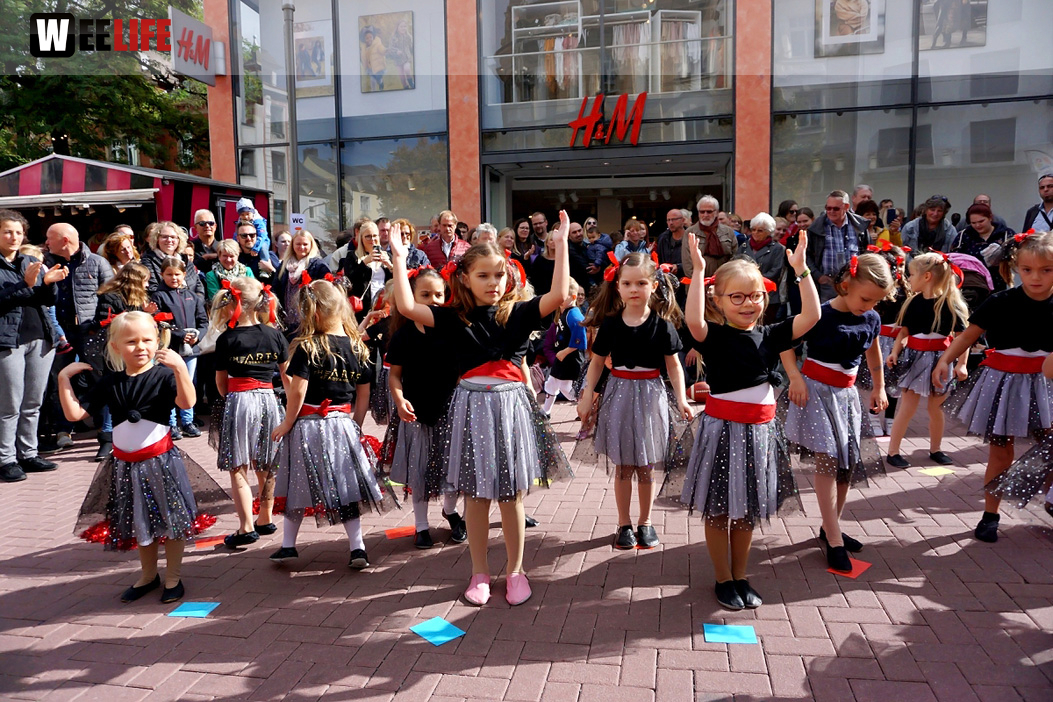 Hofer Herbst 2019 Sonntag