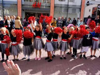 Foto 235560 im Album
