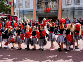 Foto 235564 im Album