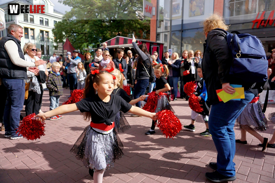 Hofer Herbst 2019 Sonntag