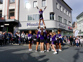 Foto 235703 im Album