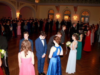 Foto 236225 im Album