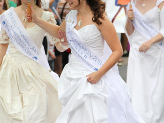 Foto 23634 im Album