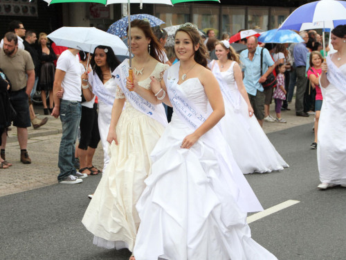 Selber Heimat- und Wiesenfest – Foto 28