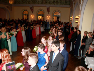 Foto 236425 im Album