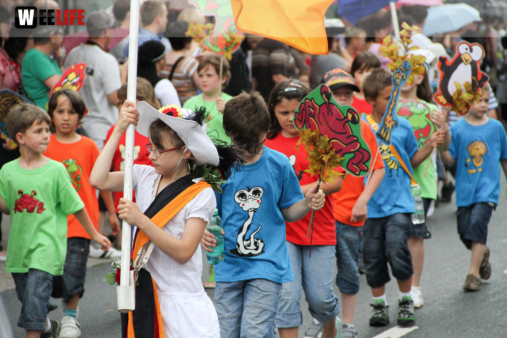 Selber Heimat- und Wiesenfest