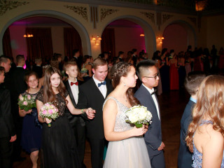 Foto 236627 im Album