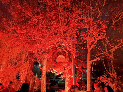 Awalla Wintermärktchen 2019 – Foto 45