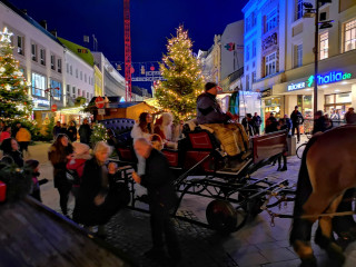 Vorschau des vorherigen Fotos