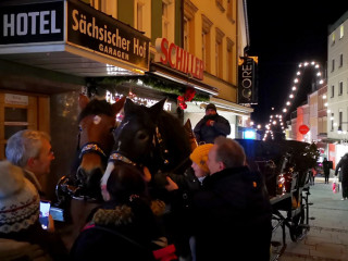 Vorschau des vorherigen Fotos