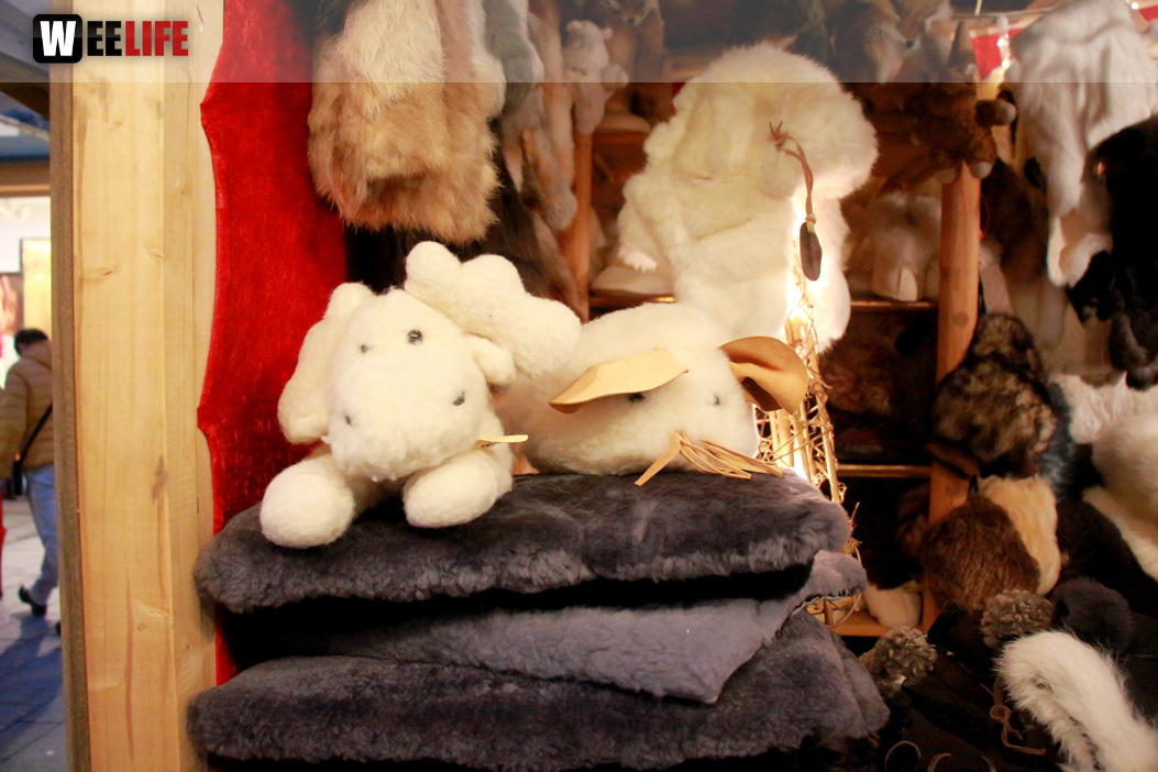 Hofer Weihnachtsmarkt 29.11.19
